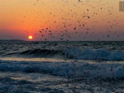...per vedere il sole andare quasi a sbattere...